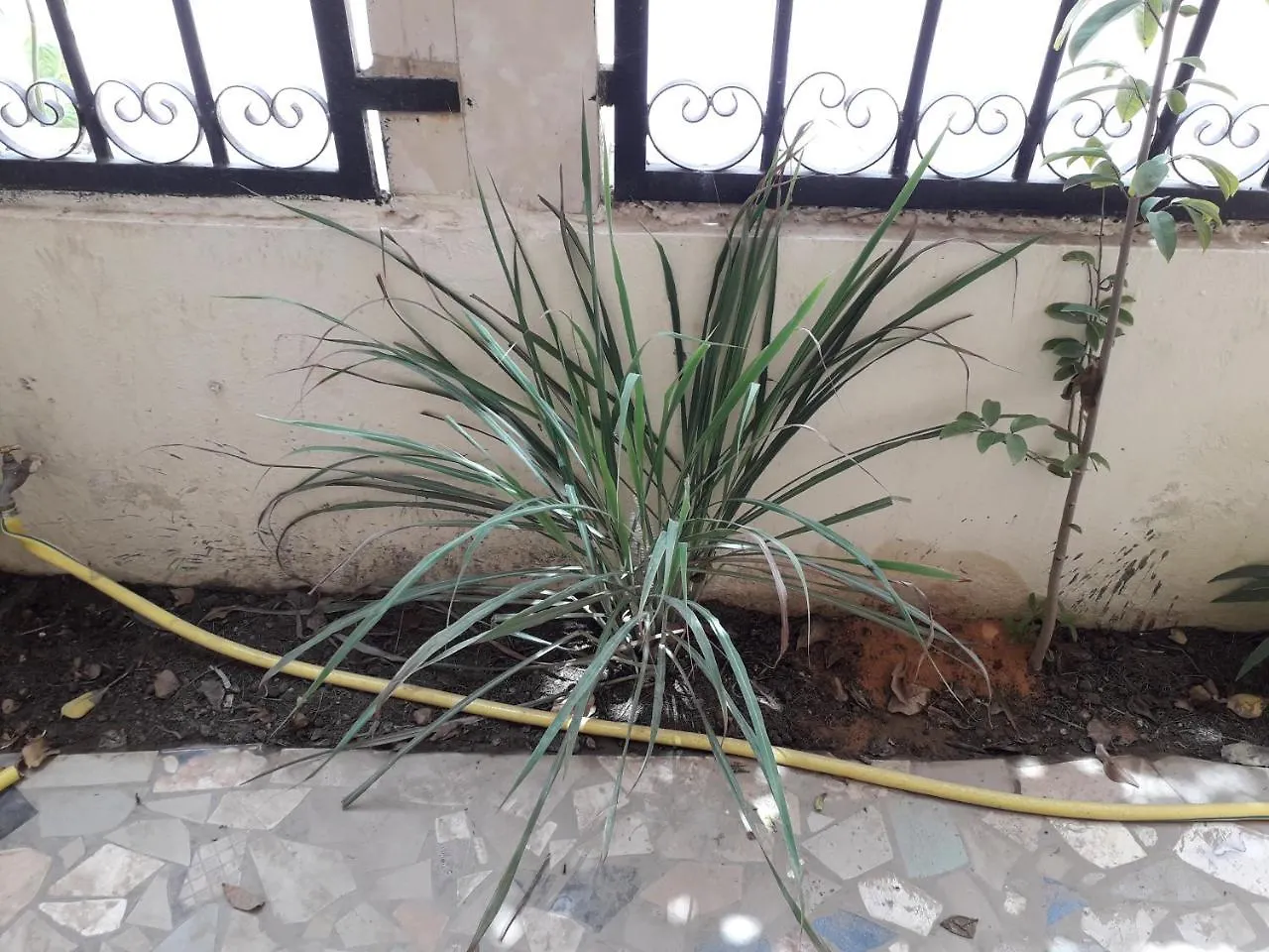 Bed & Breakfast Gallé Niatigui Bed and Breakfast Dakar